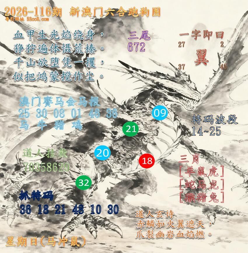 新澳门六合跑马图116期