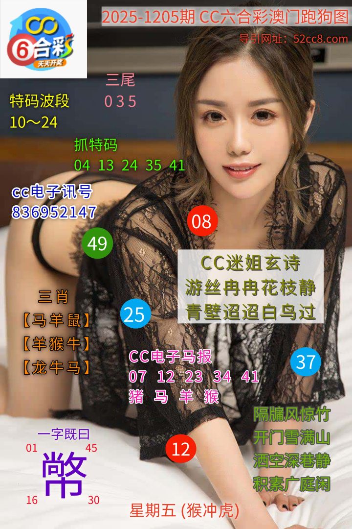 CC六合澳门跑马图1205期