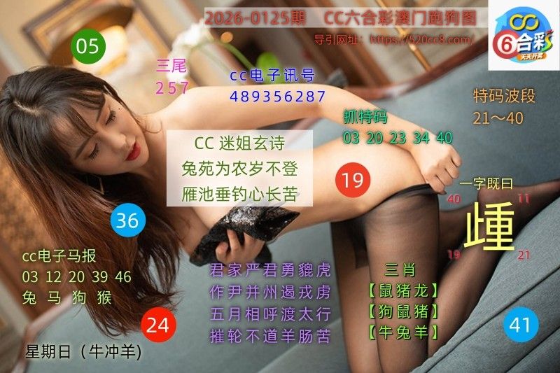 CC六合澳门跑马图0125期